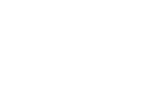 Robust bedrijven