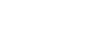 Toyo